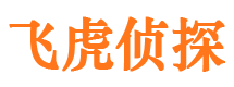 商水外遇调查取证